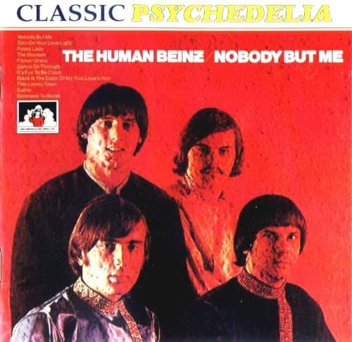 Nobody But Me cover