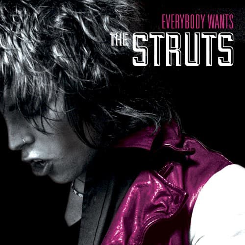 Everybody Wants cover