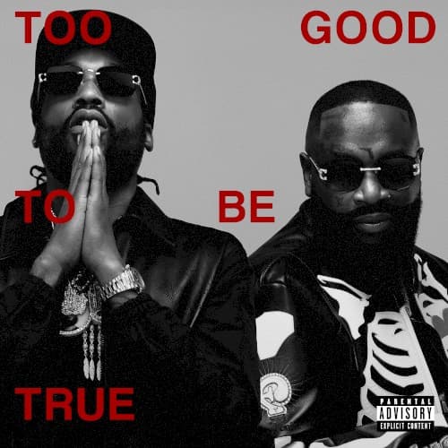 Too Good to Be True cover