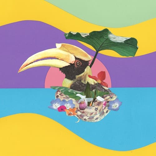 Flowering Jungle cover