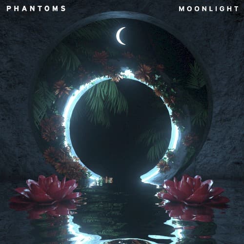 Moonlight cover