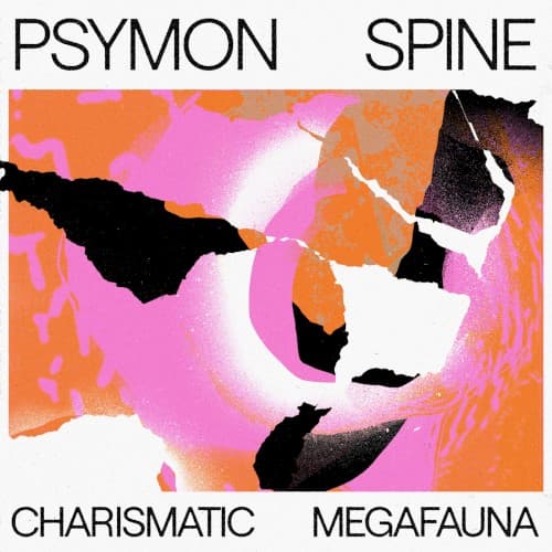 Charismatic Megafauna cover