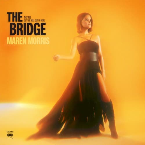 The Bridge cover