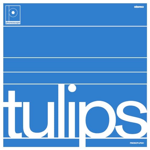 Tulips cover