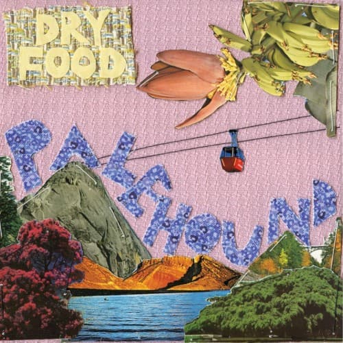 Dry Food cover