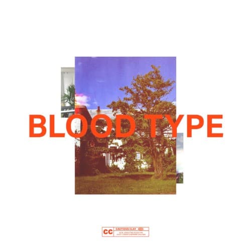 Blood Type cover