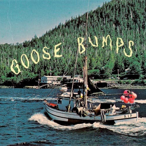 Goose Bumps cover
