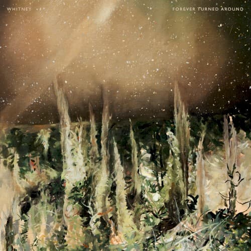 Forever Turned Around cover