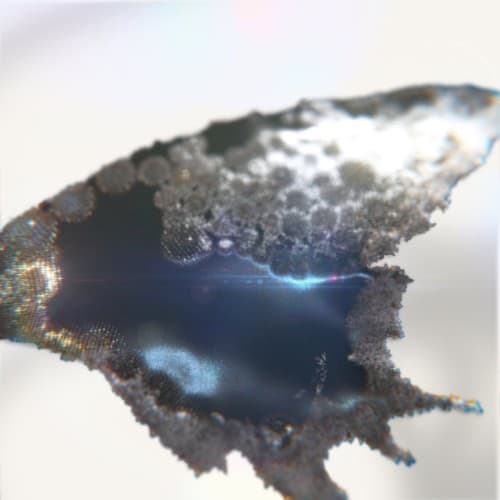 Fragile cover