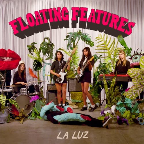 Floating Features cover