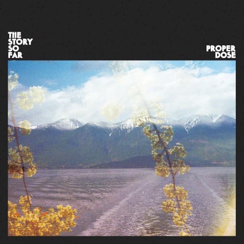 Proper Dose cover
