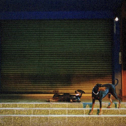 Pure Devotion cover