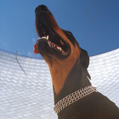Good Lies cover