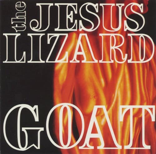 Goat cover