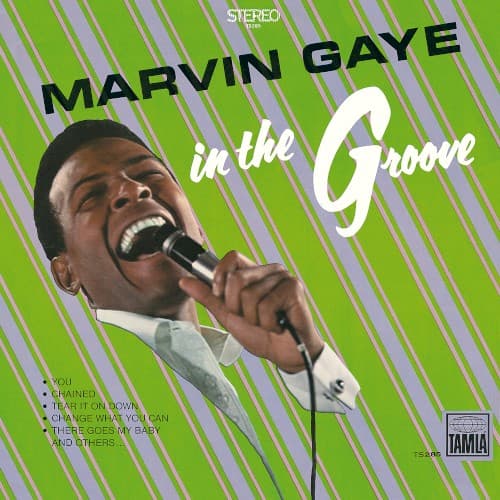 In the Groove cover