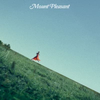 Album cover for Mount Pleasant
