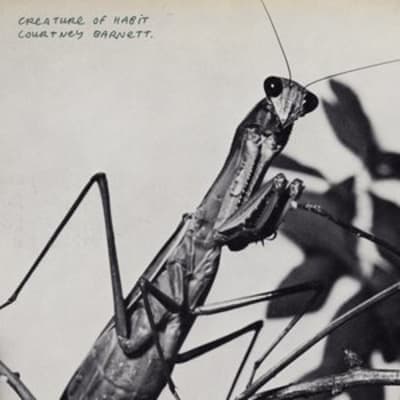 Album cover for Creature of Habit