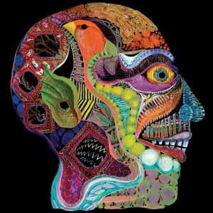 Cara Maluco · Osees