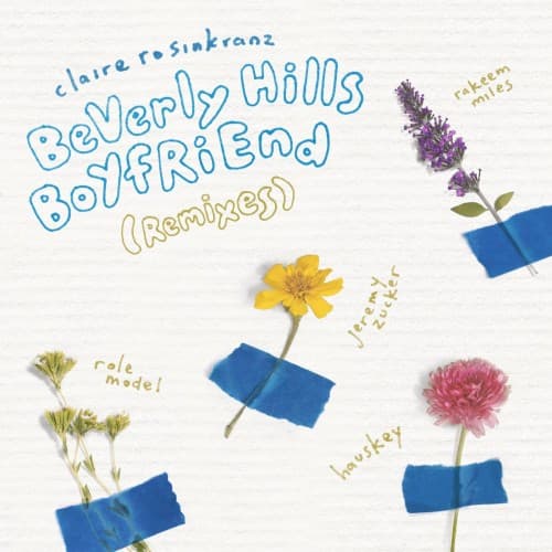 BeVerly Hills BoYfRiEnd (remixes) cover