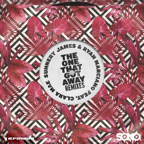 The One That Got Away (remixes) cover
