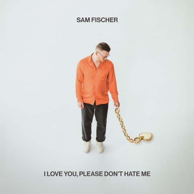 I Love You, Please Don’t Hate Me cover