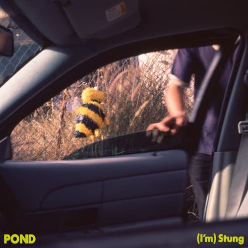 (I’m) Stung cover