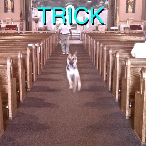 Trick cover