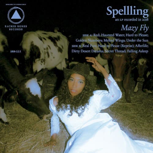 Mazy Fly cover