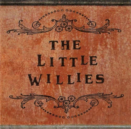 The Little Willies cover