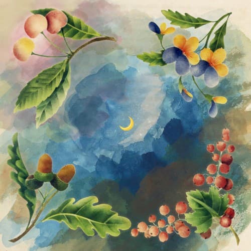 Midnight Tangerine cover