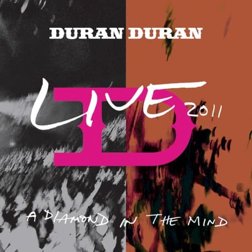 A Diamond In The Mind cover